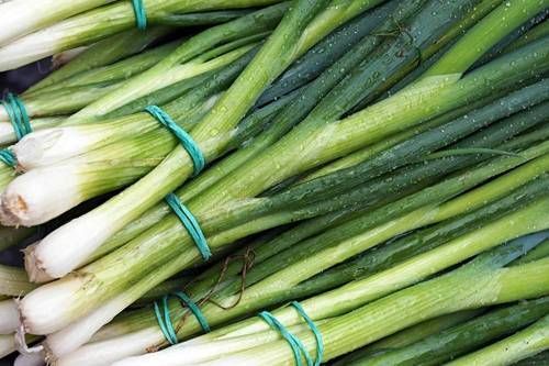 https://storage.tally.so/81a13455-0905-4905-9f32-518495c8f97e/Scallions.jpg