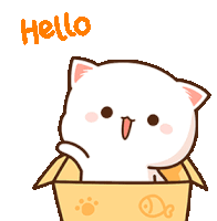 https://storage.tally.so/8241eda8-8cc6-47a1-b8ba-e72dc84b86f8/Ha-Luo-hello.gif
