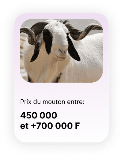 https://storage.tally.so/844e31ee-9751-4c95-987c-59a987b2a3b5/Offre-6.png