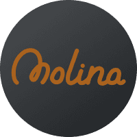 Form logo
