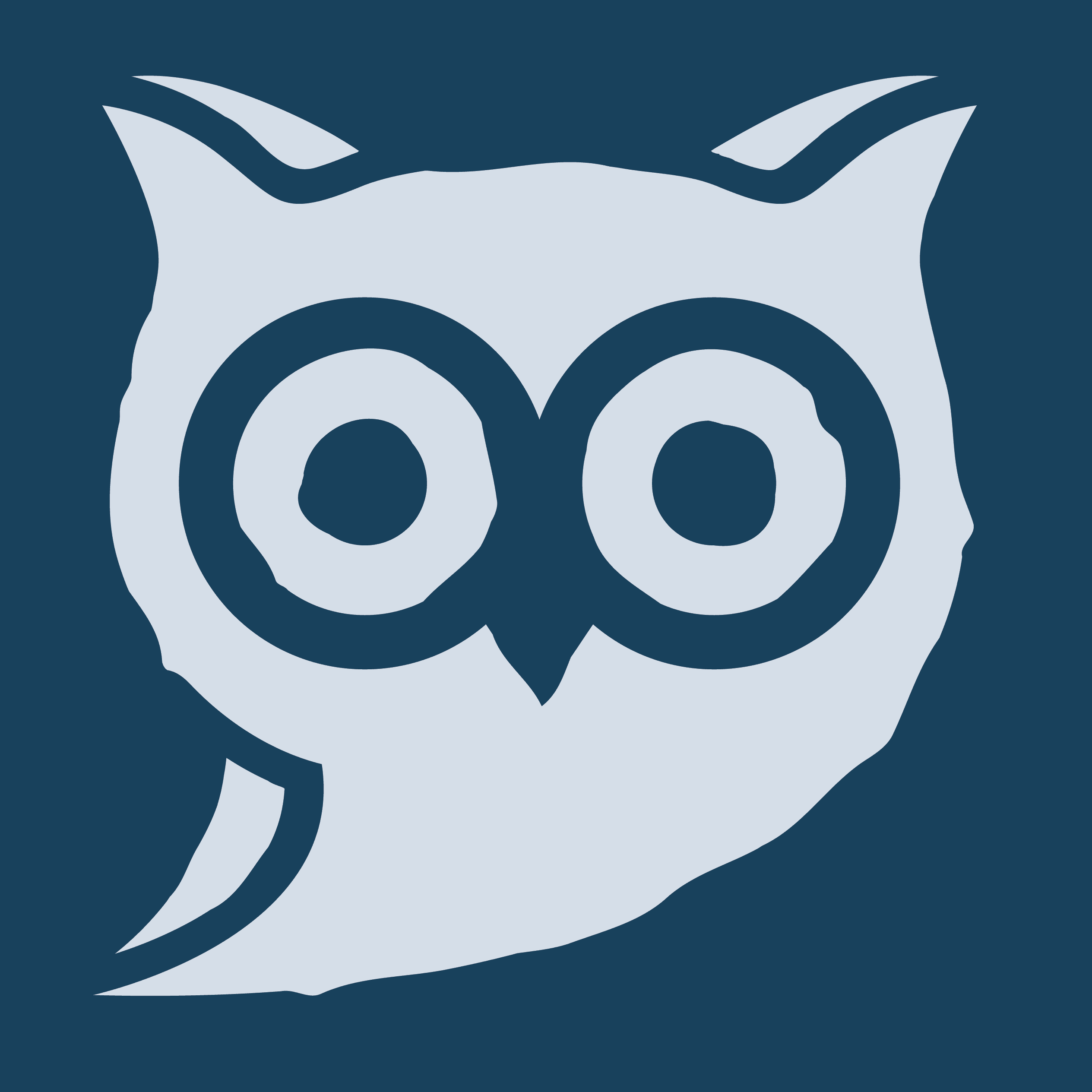 Form logo