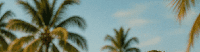 https://storage.tally.so/89910d84-b19a-46f4-87c9-4ee5a0880dce/Capture-d-ecran-2025-06-30-a-20.55.57.png