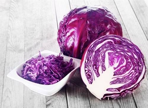 https://storage.tally.so/8aa5303b-f36a-494c-a8c9-1593c8f3203f/RedCabbage.jpg