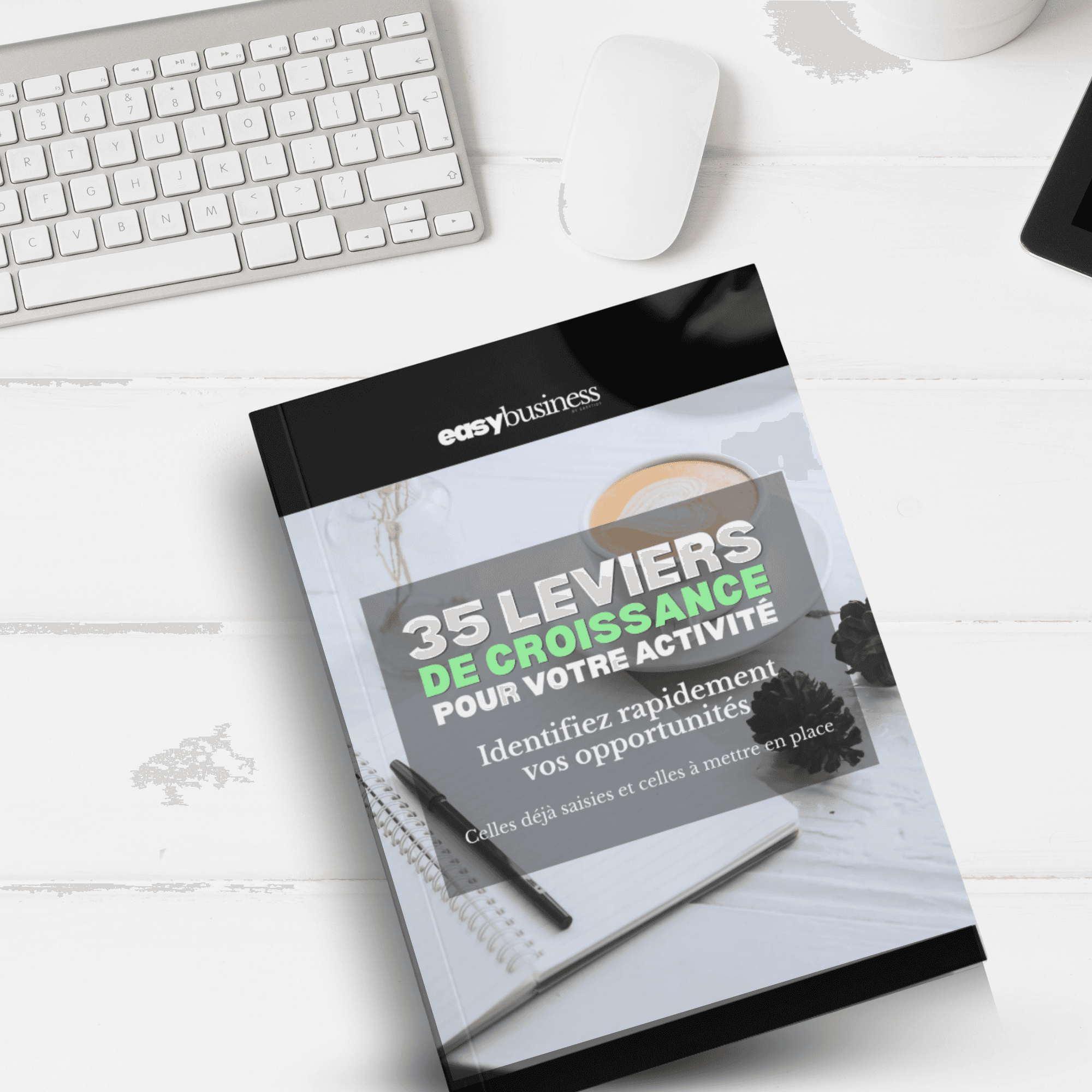 35 Leviers de Croissance