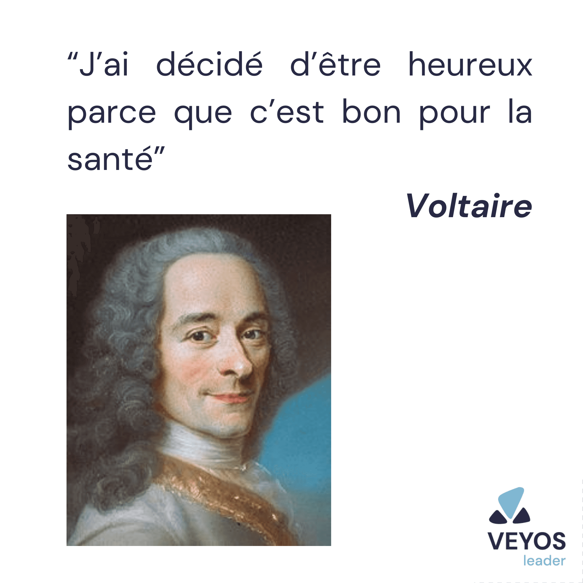 https://storage.tally.so/91afece7-084c-40de-80c3-63f26c9664c5/voltaire.png