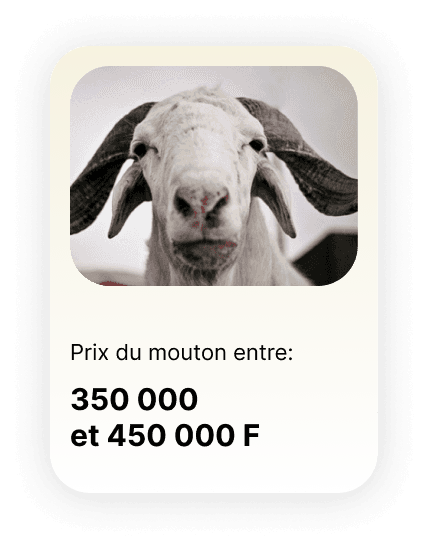 https://storage.tally.so/91f49c7b-11a8-4777-8865-8ffc4202a933/Offre-5.png