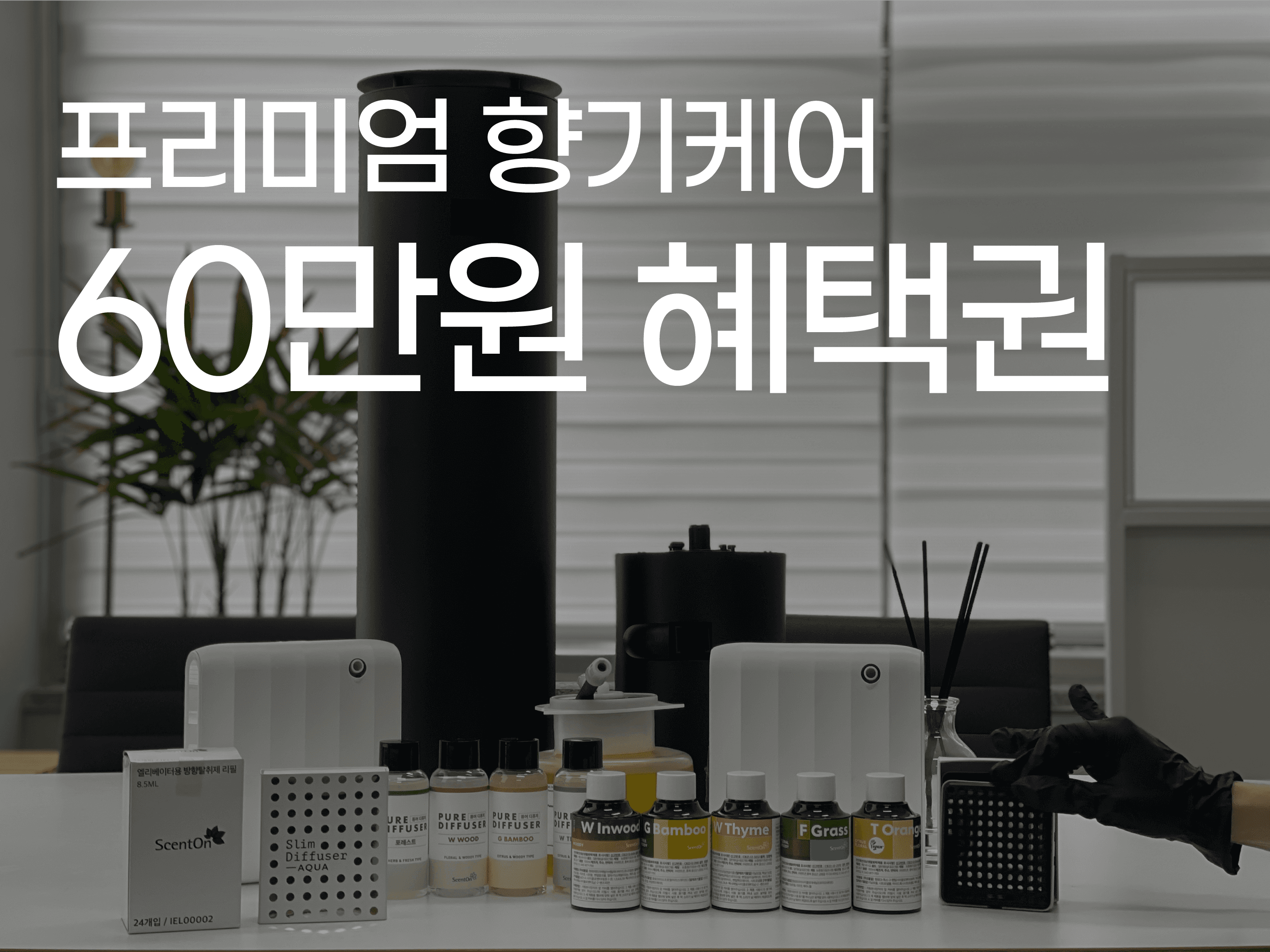 https://storage.tally.so/9643577c-4e76-44fc-895a-33a99ca4cff3/hyanggikeeo_sseomneil.png