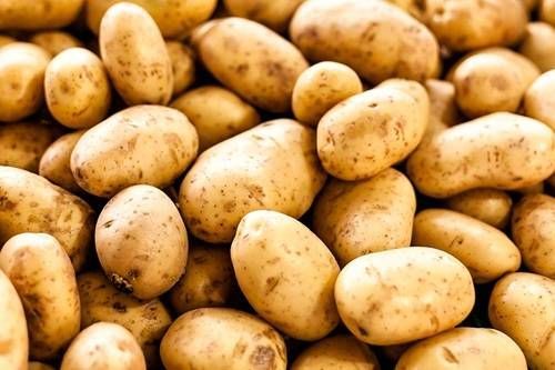https://storage.tally.so/9843fc1a-d0a6-4063-874d-1c6da9248a08/Potatoes.jpg