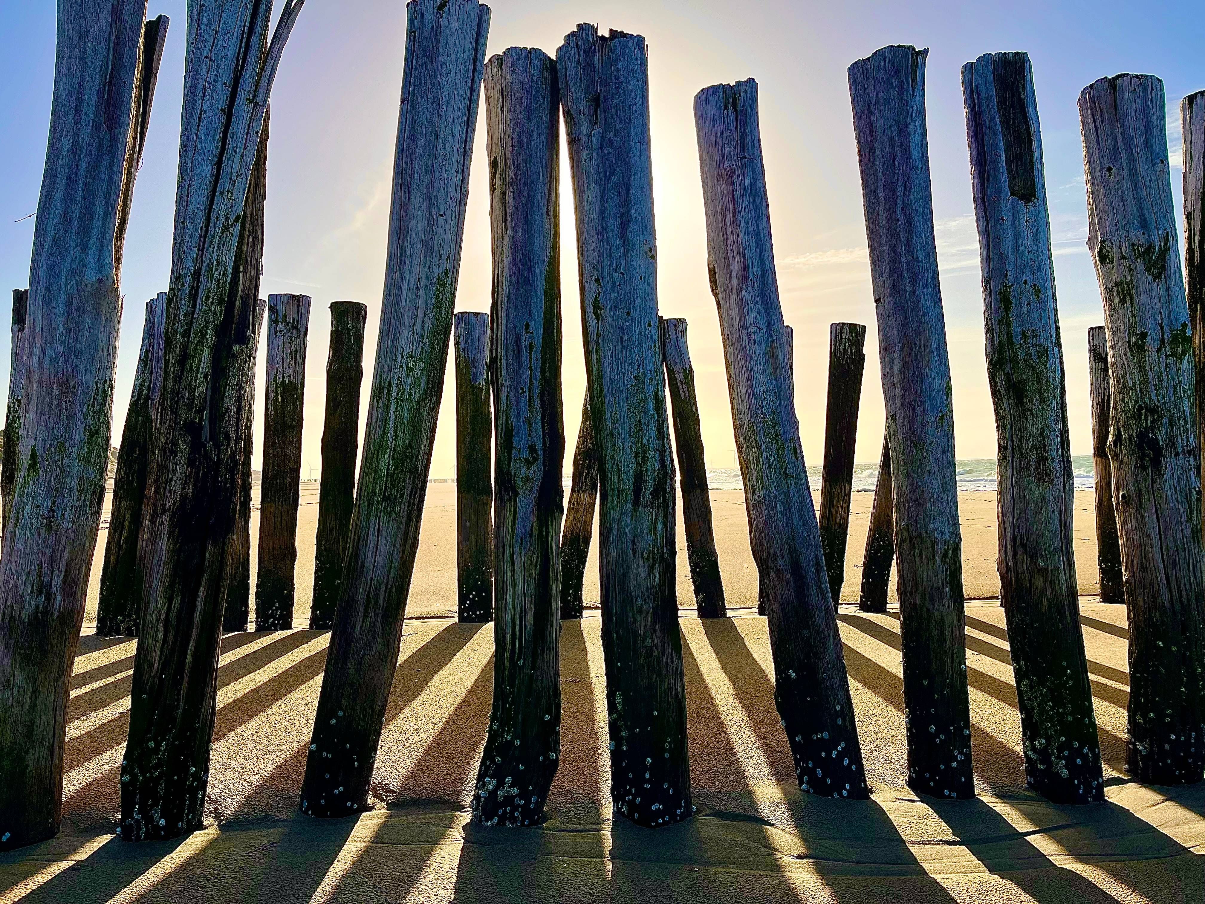 Form cover