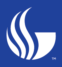 Form logo