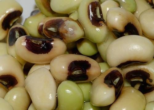 https://storage.tally.so/9bf24913-fc8e-4ca1-b5bb-ee0b9c3c31ed/BlackEyedPeas.jpg