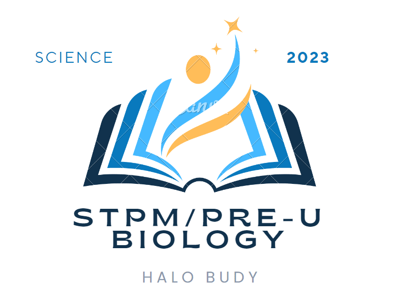 Form logo
