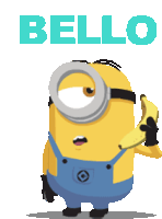 https://storage.tally.so/9f4886ca-a289-4301-b3bc-836e3f574927/hello-minion.gif