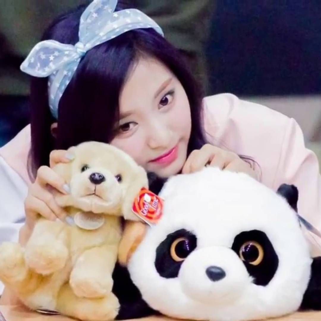 https://storage.tally.so/a461b8c4-4207-42d2-8a12-2ad5ec8ee965/cute-tzuyu.jpg