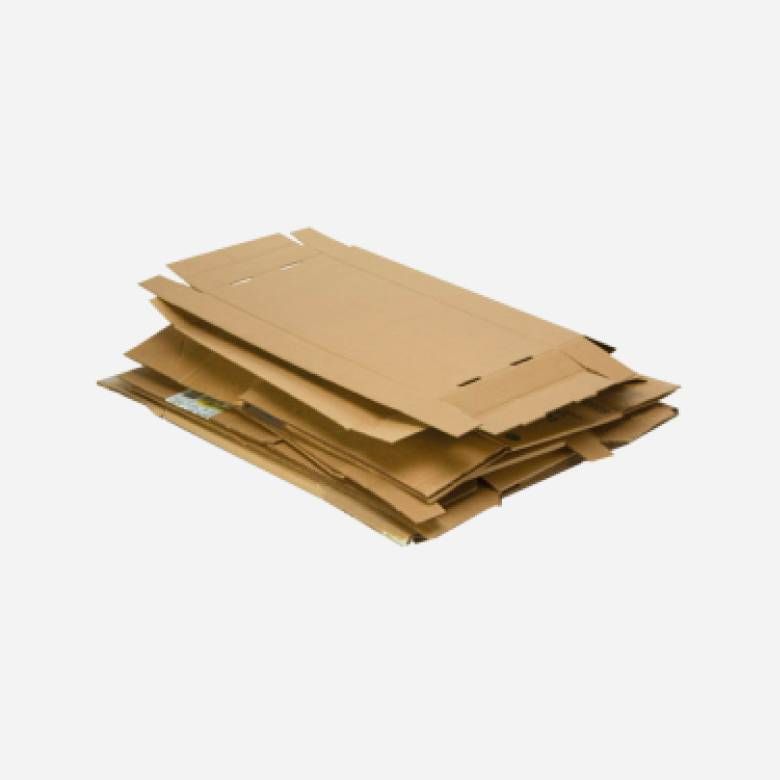 https://storage.tally.so/aa953999-2be6-455a-9dda-c1f81a6f0059/occ-1.jpg
