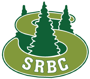 Form logo