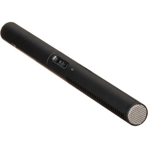 https://storage.tally.so/af6f7354-59ba-4a96-a24f-3c6f2b16f35c/Sennheiser-MKE600.webp