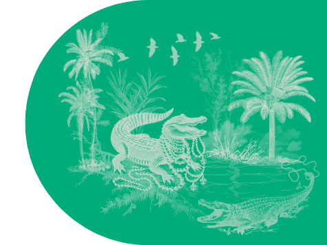 https://storage.tally.so/b0c95657-0031-48a2-90d5-dea10aa1e700/2.png