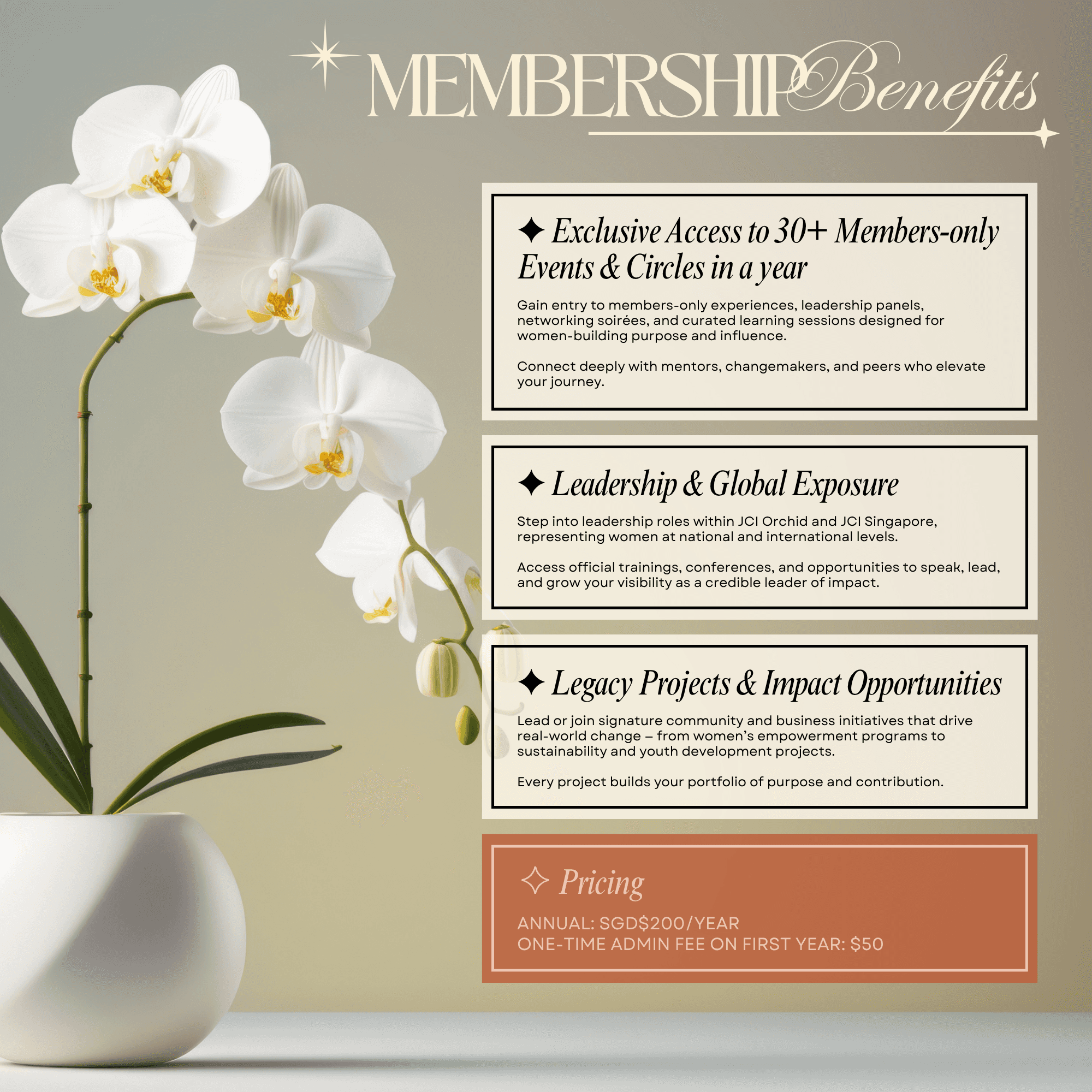 https://storage.tally.so/b28534f4-0e80-4110-9684-be7d15302e14/Membership-Benefits.png