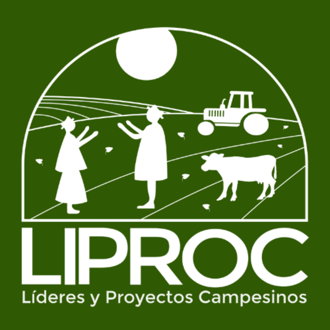 Form logo