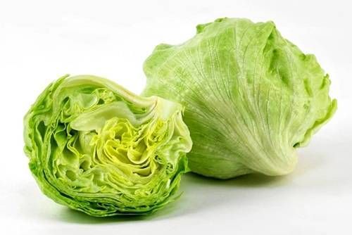https://storage.tally.so/b52616b8-f666-4a13-a90a-5dfa38e9ab4a/IcebergLettuce.jpg