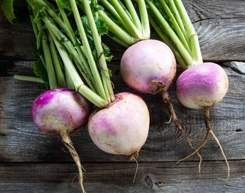 https://storage.tally.so/b5328059-ebd2-46ed-ae81-80a6e735213d/Turnips.jpg