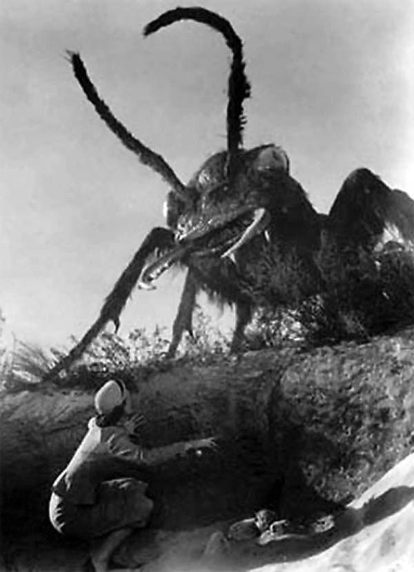 https://storage.tally.so/b67e2efe-d19c-4512-b3d2-fdb2400164c2/GiantAntsThem.jpg