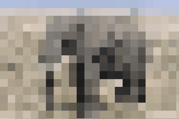 https://storage.tally.so/b8a29580-97d1-4a59-8a9b-4d0119f8baac/koggiri-4.png