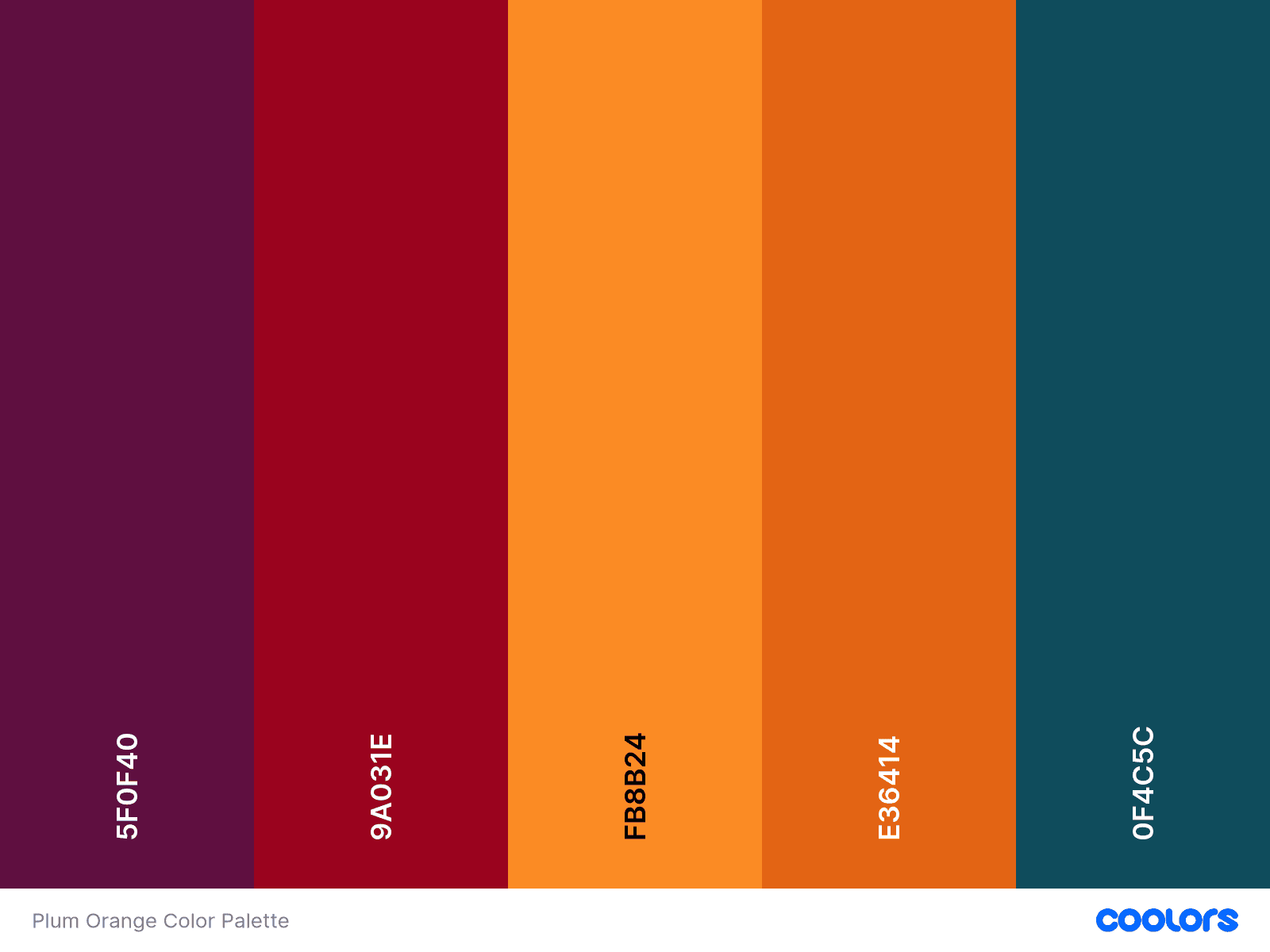 https://storage.tally.so/bc4d5f2b-0756-42d9-9a90-319eb4f8837c/Plum-Orange-Color-Palette.png