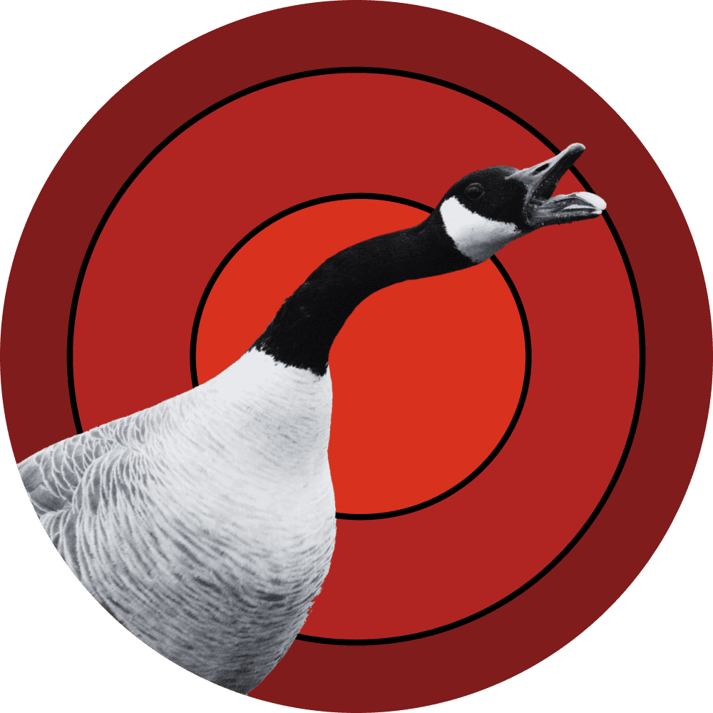 Form logo