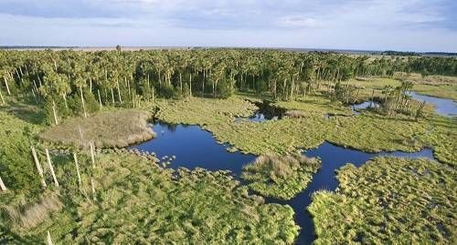 https://storage.tally.so/bfdf67f0-a05e-4fb9-91f1-a1223f605ea7/Everglades.jpg