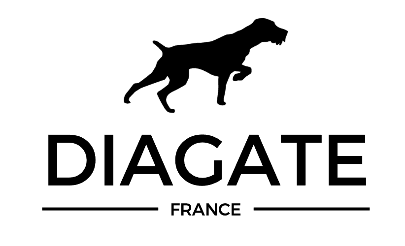 Form logo