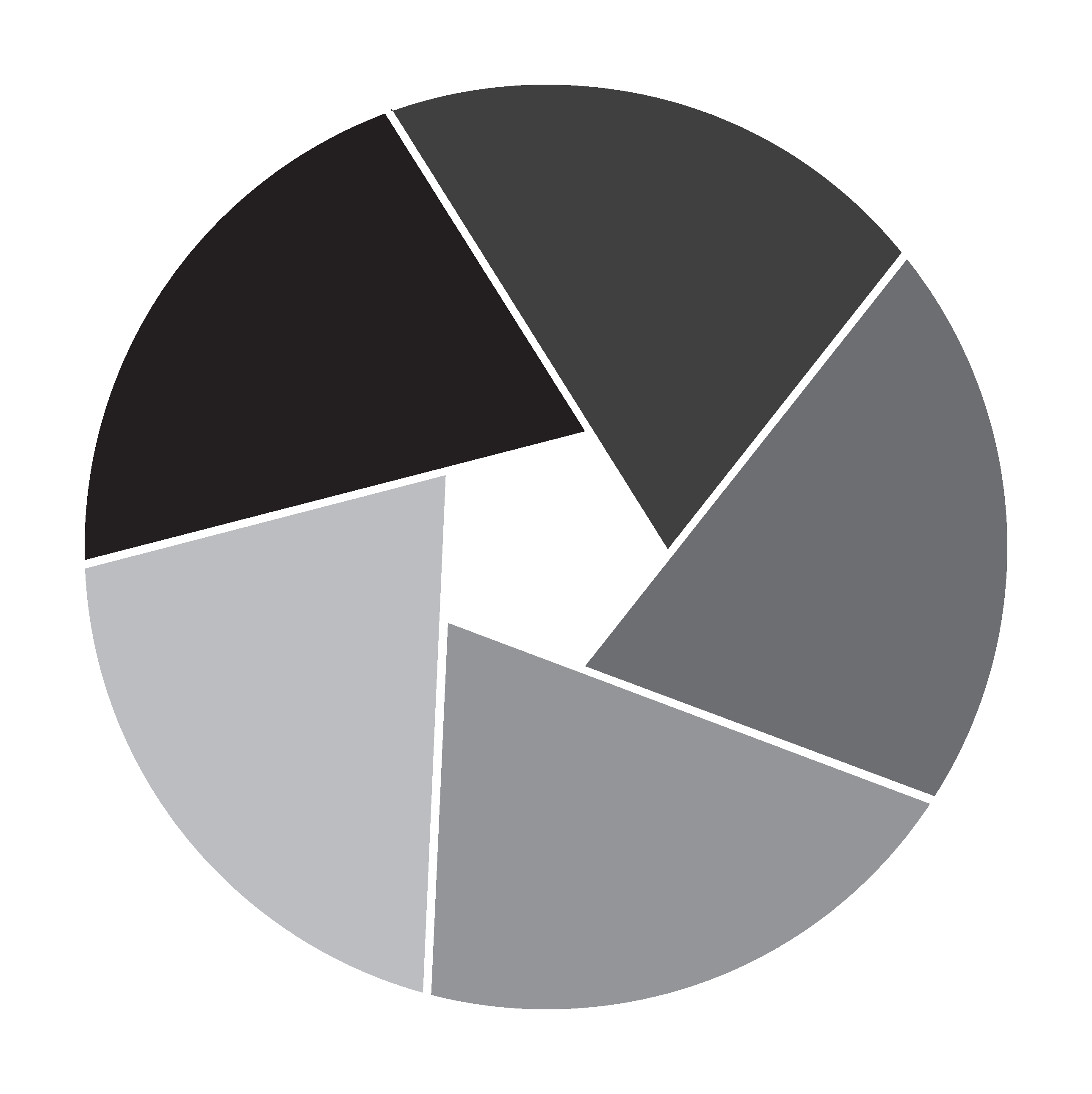 Form logo