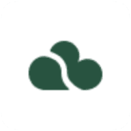 Form logo