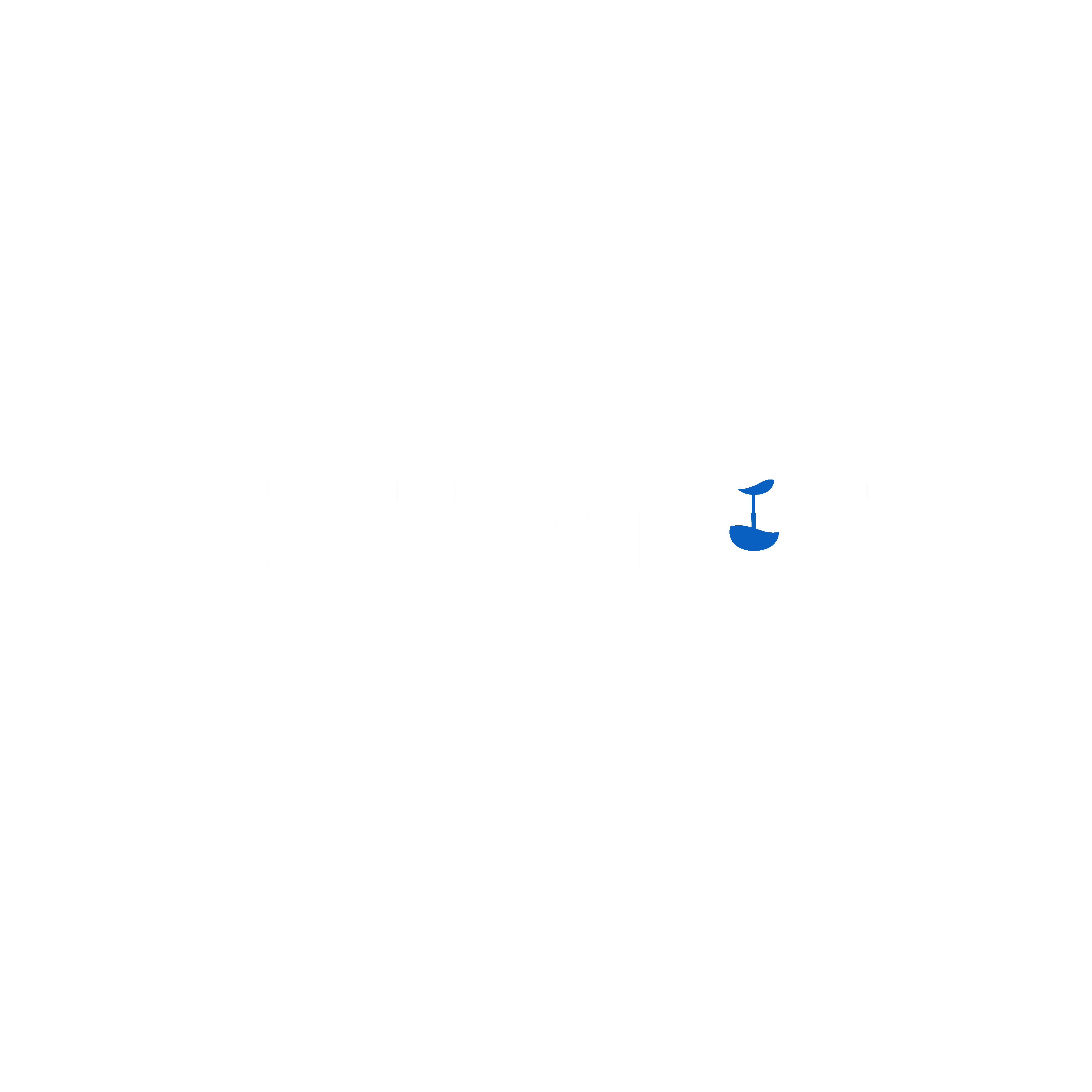 Form logo