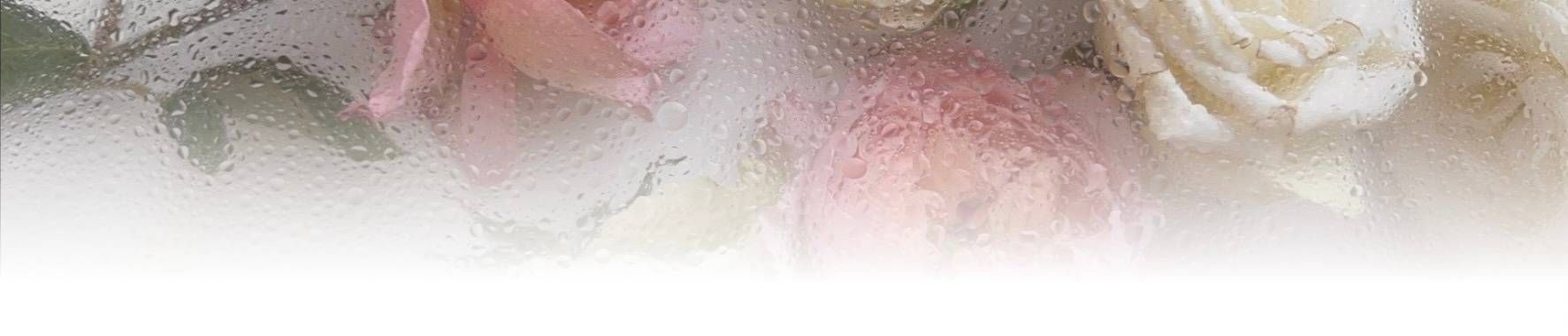 Form cover