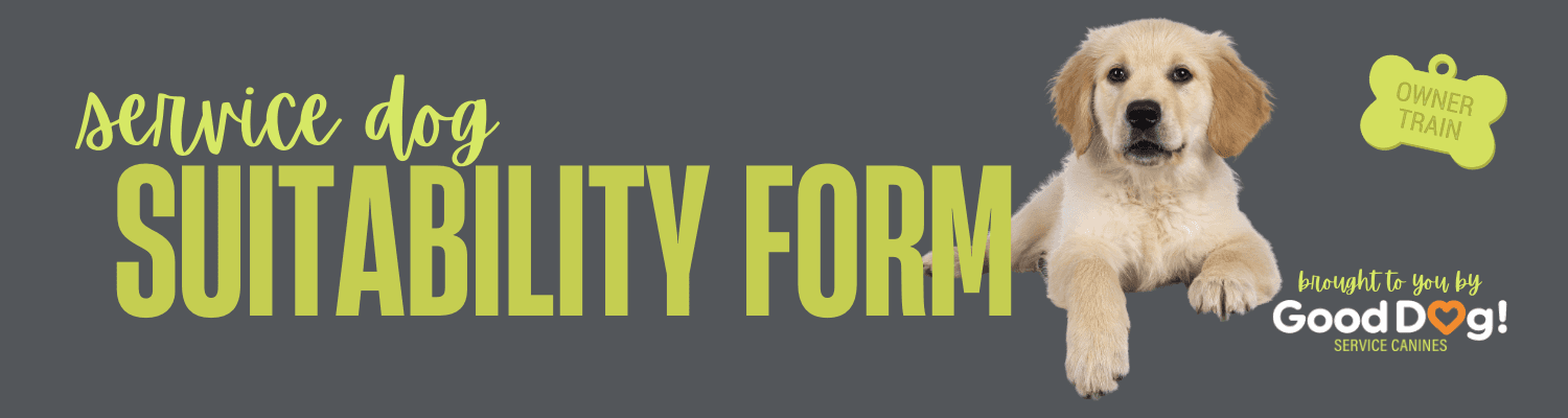 https://storage.tally.so/d30a975f-31dc-4c71-a81b-cc6fd34b5a67/service-dog-1-.png