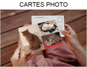 Des cartes à personnaliser le visuel Recto (de 1 à 6 photos) et verso