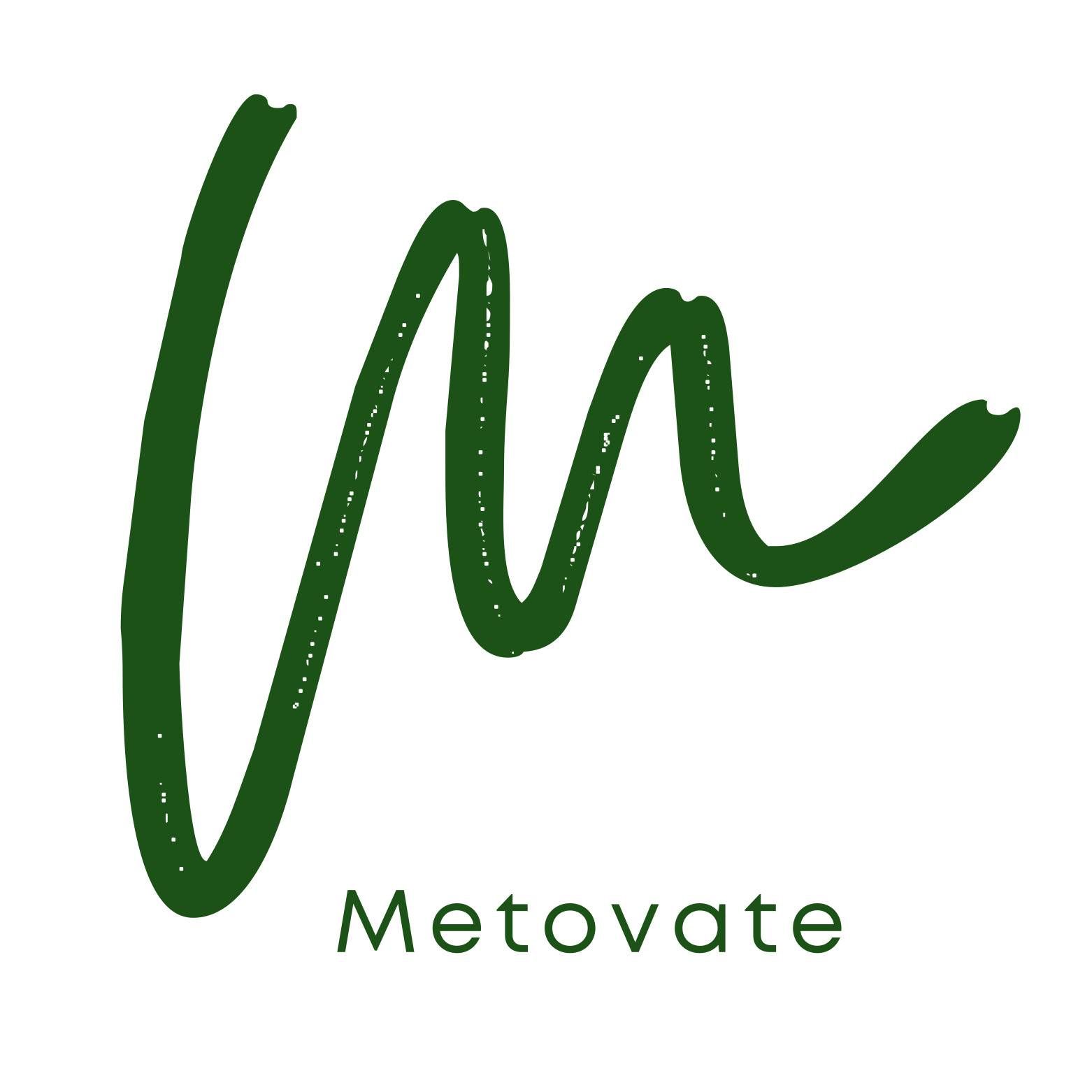 Form logo