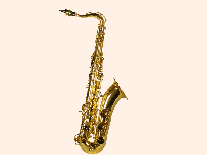 https://storage.tally.so/d537426d-0824-4155-901e-b8655ced0d37/vignette-saxophone.png
