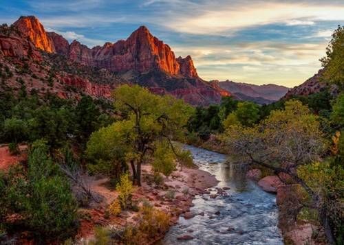 https://storage.tally.so/d6cdb6c3-7983-483f-832b-41c0bce46238/Zion.jpg