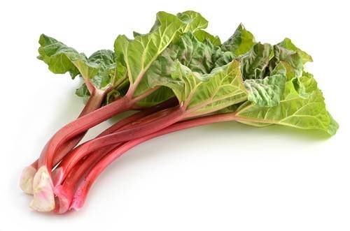 https://storage.tally.so/d7078902-09e5-484c-85fe-7e9c4c3a1bb9/Rhubarb.jpg