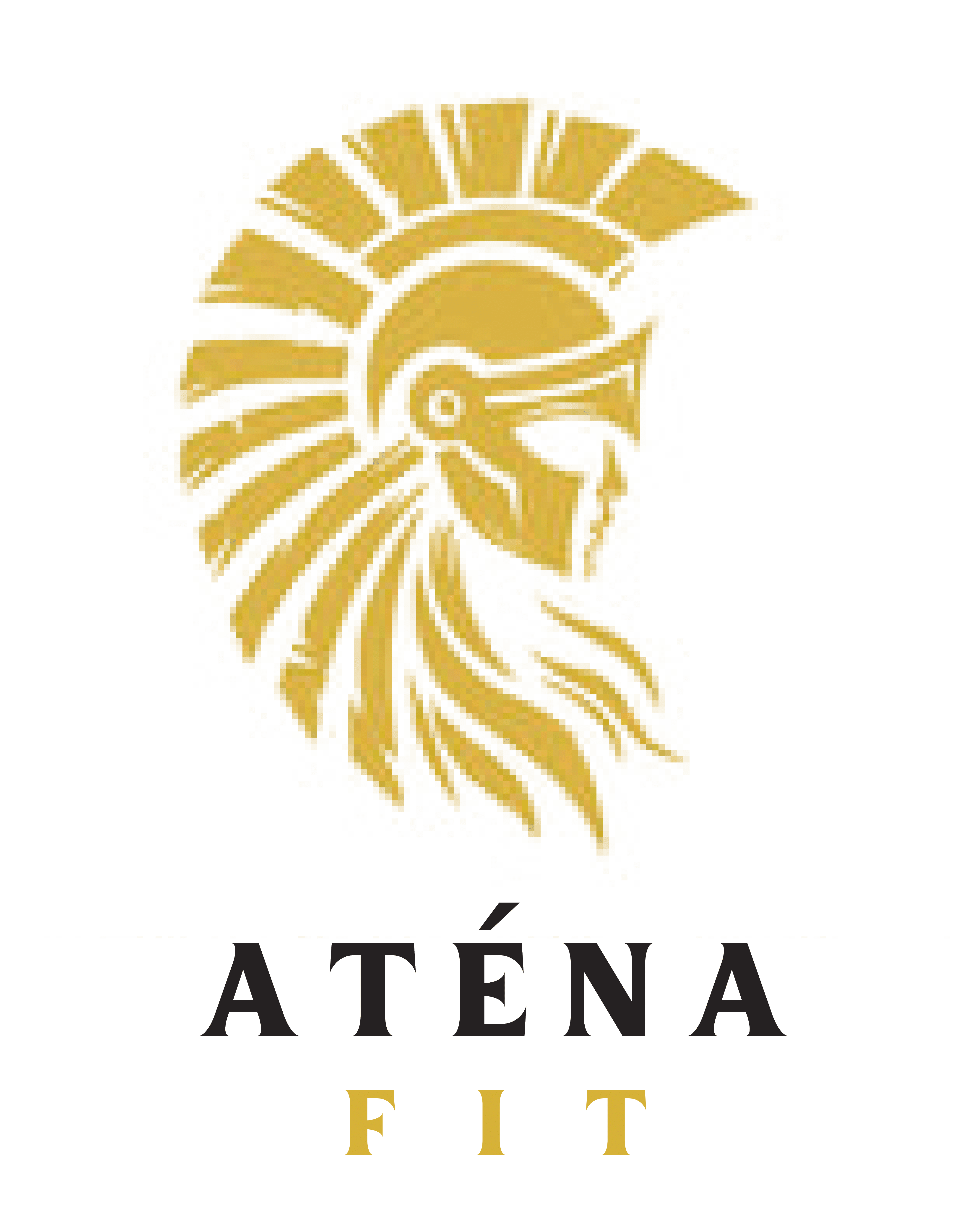 Form logo