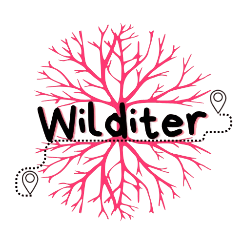 Form logo