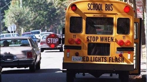 https://storage.tally.so/dcdc4678-92c7-41b3-bf9d-3a72a3acc308/Passing-school-bus-with-flashing-red-light.jpg