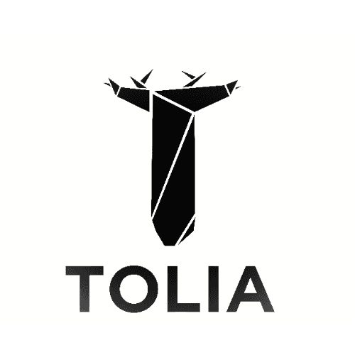 Form logo