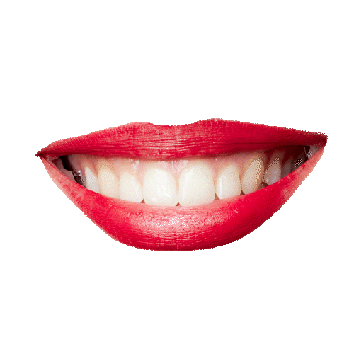 https://storage.tally.so/dfc441c7-dc13-4dc8-8c9f-0d5dcd97e120/wannatalk.gif