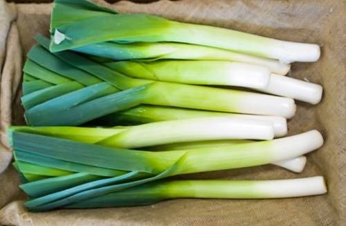 https://storage.tally.so/e26dd99d-c16f-425a-baff-bfce9e102463/Leeks.jpg