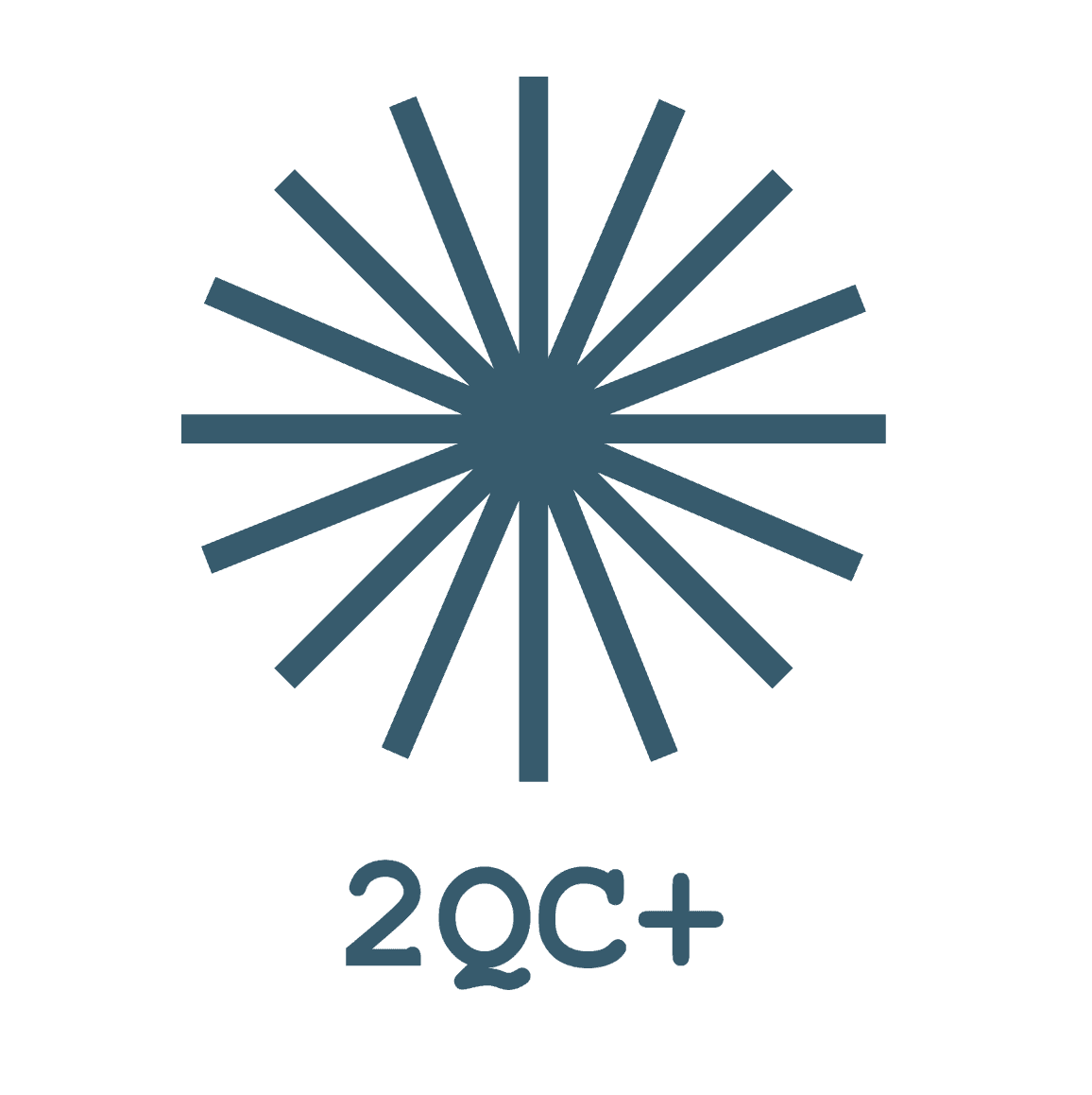 Form logo