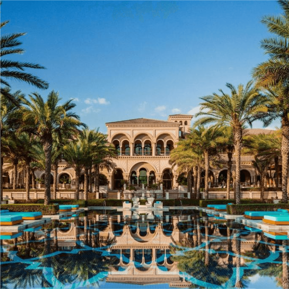 https://storage.tally.so/e4a9a3f8-5c9c-407b-91f2-439b9c026200/One-Only-The-Palm.png